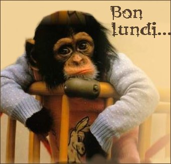 bon lundi ...